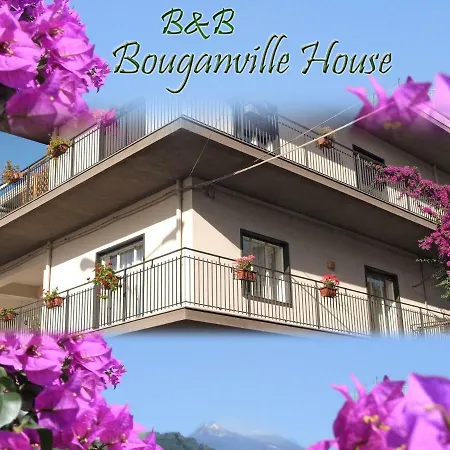 Bouganville House B&B